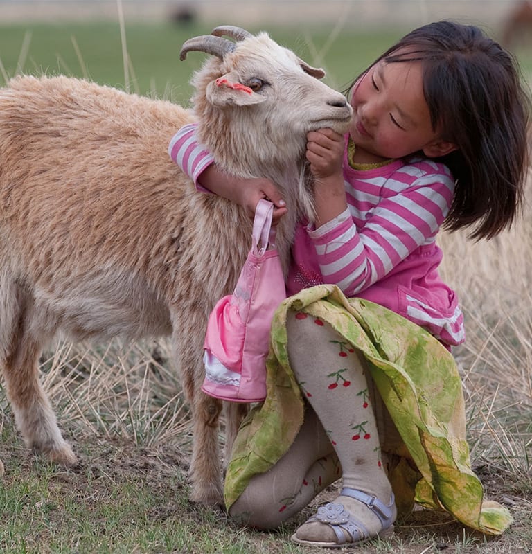 Cashmere