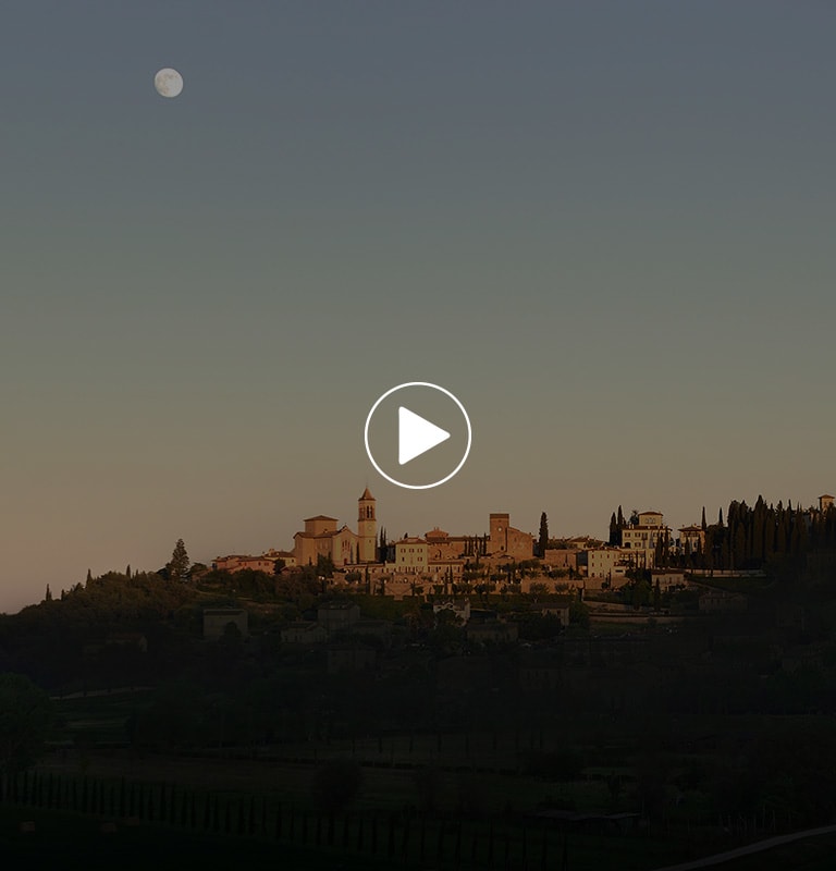 2017 - Discorso ai Maestri del lavoro