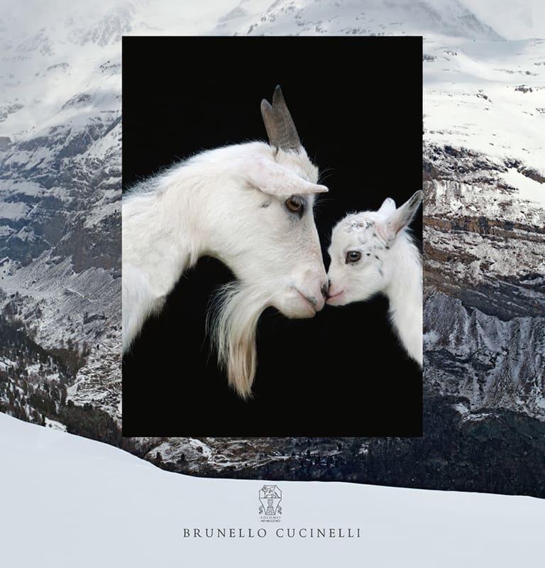 2019 - Tempo dello Spirito, tempo dell’Armonia