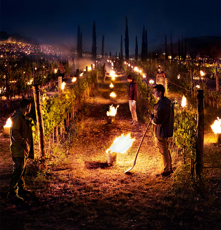 FW17 - "Nature is full of infinite causes." Leonardo da Vinci