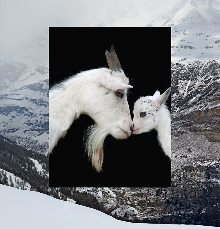 FW19 - "Time for Spirit, time for Harmony."