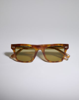 Mr. Brunello with photochromic lenses Havana Eyewear - Brunello Cucinelli