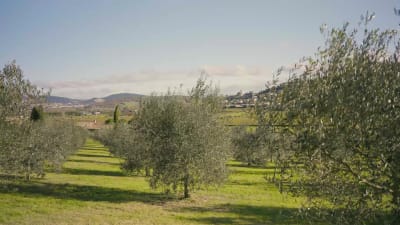 人類の未来の番人への手紙 | Brunello Cucinelli